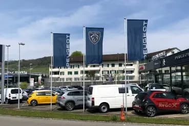 Fahnenmast nicht hissbar